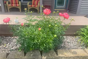 2061 10th Ave, Star Prairie, WI 54026 - Photo 49