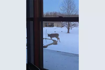 2061 10th Avenue, Star Prairie, WI 54026 - Photo 57