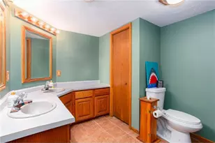 W9294 800th Ave, River Falls, WI 54022 - Photo 29