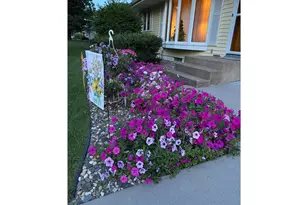 2620 Roth Pl, White Bear Lake, MN 55110 - Photo 43