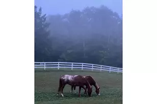 323 220th, Johnstown, WI 54826 - Photo 33