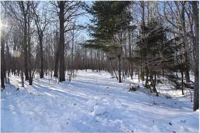 Lots 1-4 Clam Lake Drive, Siren, WI 54872 - Photo 7