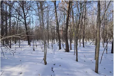 Lots 1-4 Clam Lake Drive, Siren, WI 54872 - Photo 3