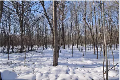 Lots 1-4 Clam Lake Drive, Siren, WI 54872 - Photo 13