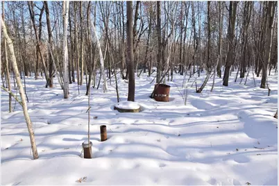 Lots 1-4 Clam Lake Drive, Siren, WI 54872 - Photo 5