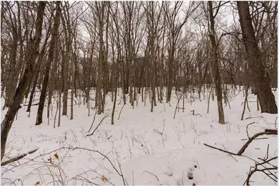 E6783 1090th Avenue, Otter Creek Township, WI 54772 - Photo 19