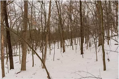 E6783 1090th Avenue, Otter Creek Township, WI 54772 - Photo 27