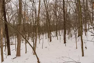 E6783 1090th Ave, Otter Creek Township, WI 54772 - Photo 27