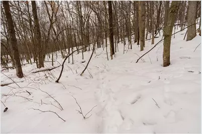 E6783 1090th Avenue, Otter Creek Township, WI 54772 - Photo 29