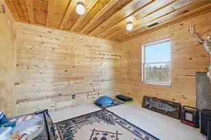 456 Walnut Ridge Dr, Glenwood City, WI 54013 - Photo 23