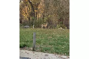 4304 Tamara Dr, Eau Claire, WI 54701 - Photo 47