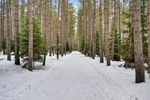 11571N Brook Ln, Hayward, WI 54843 - Photo 7