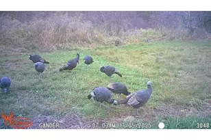 S9025 Lowes Creek Rd, Eleva, WI 54738 - Photo 53