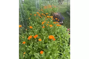 2179 132nd St, New Richmond, WI 54017 - Photo 41