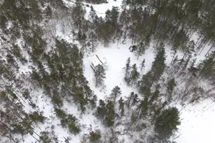 N12395 Eagle View Ct, Minong, WI 54859 - Photo 47