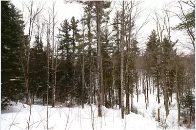 31715 Star Route Road, Bayfield, WI 54814 - Photo 43