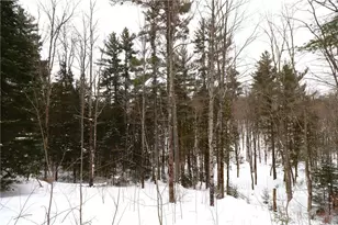 31715 Star Rte Rd, Bayfield, WI 54814 - Photo 43