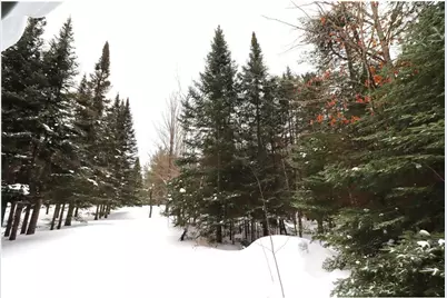 31715 Star Route Road, Bayfield, WI 54814 - Photo 39