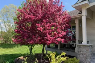 925 Sadies Ln, Hudson, WI 54016 - Photo 17