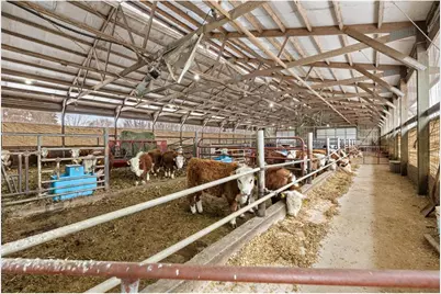 2435 50th Avenue, Elk Mound, WI 54739 - Photo 39