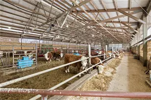 2435 50th Ave, Elk Mound, WI 54739 - Photo 39