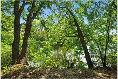 Tbd County Road C, Somerset, WI 54025 - Photo 5