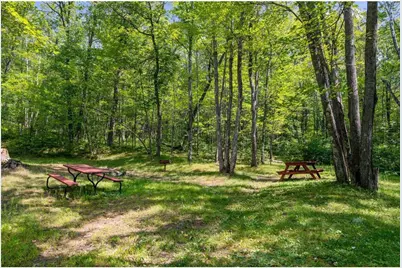 9505 Wildwood Campground Road, Iron Ridge, WI 54847 - Photo 29