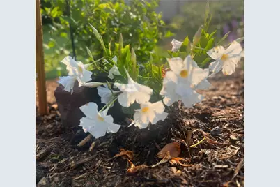 875 161st Street, Hammond Township, WI 54015 - Photo 75