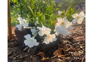 875 161st St, Hammond Township, WI 54015 - Photo 75