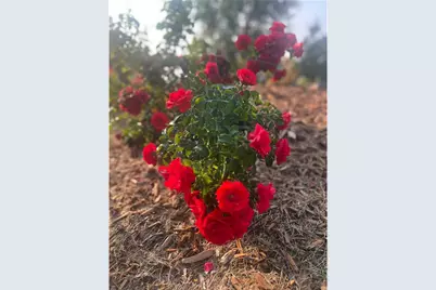 875 161st Street, Hammond Township, WI 54015 - Photo 79