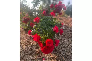 875 161st St, Hammond Township, WI 54015 - Photo 79