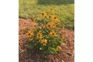 875 161st St, Hammond Township, WI 54015 - Photo 57