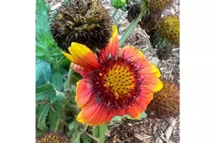 875 161st St, Hammond Township, WI 54015 - Photo 83