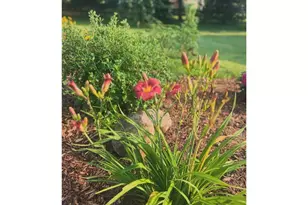 875 161st St, Hammond Township, WI 54015 - Photo 55