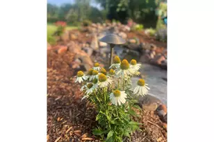 875 161st St, Hammond Township, WI 54015 - Photo 81