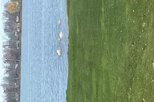 2005 12th St, Comstock, WI 54826 - Photo 37