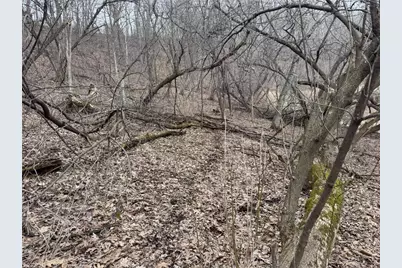 0 Theurer Lane, Arcadia, WI 54612 - Photo 17