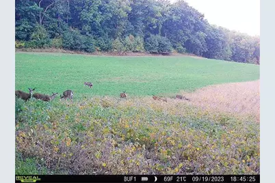 0 Theurer Lane, Arcadia, WI 54612 - Photo 11