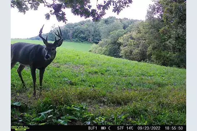 0 Theurer Lane, Arcadia, WI 54612 - Photo 7