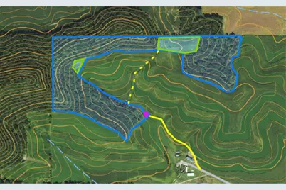 0 Theurer Lane, Arcadia, WI 54612 - Photo 13