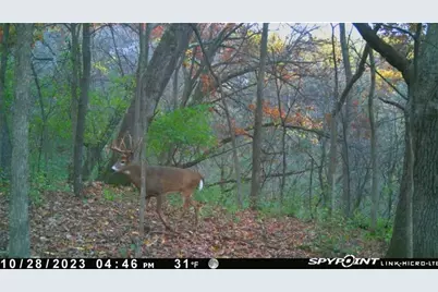 0 Theurer Lane, Arcadia, WI 54612 - Photo 3