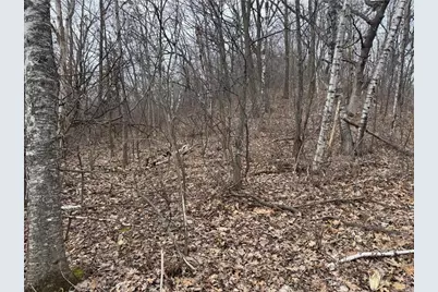 0 Theurer Lane, Arcadia, WI 54612 - Photo 29