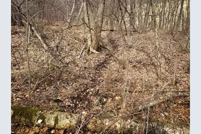 0 Theurer Lane, Arcadia, WI 54612 - Photo 39