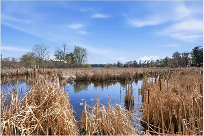 24207 Fawn Road, Linwood Township, MN 55079 - Photo 27