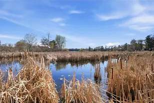 24207 Fawn Rd, Linwood Township, MN 55079 - Photo 27