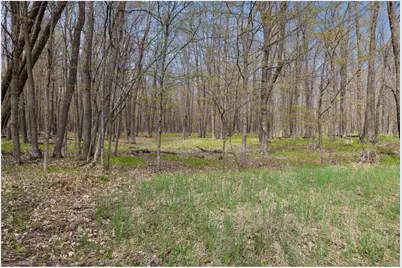 316 Wennerberg Shore Drive, Shell Lake, WI 54871 - Photo 23