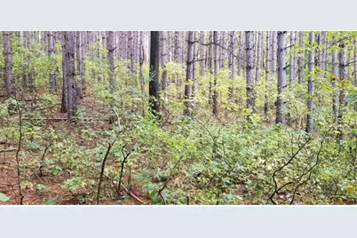 Lot 4 Paulsen Lake Lane, Osceola, WI 54020 - Photo 5