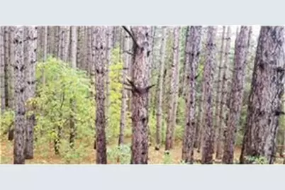 Lot 4 Paulsen Lake Lane, Osceola, WI 54020 - Photo 7