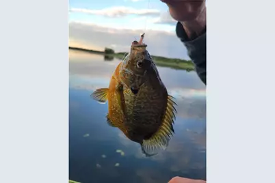 28594 Birch Island Lake Trail, Scott Township, WI 54830 - Photo 91