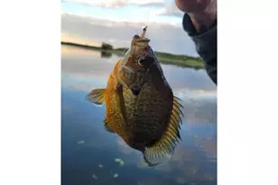 28594 Birch Island Lake Trail, Scott Township, WI 54830 - Photo 91